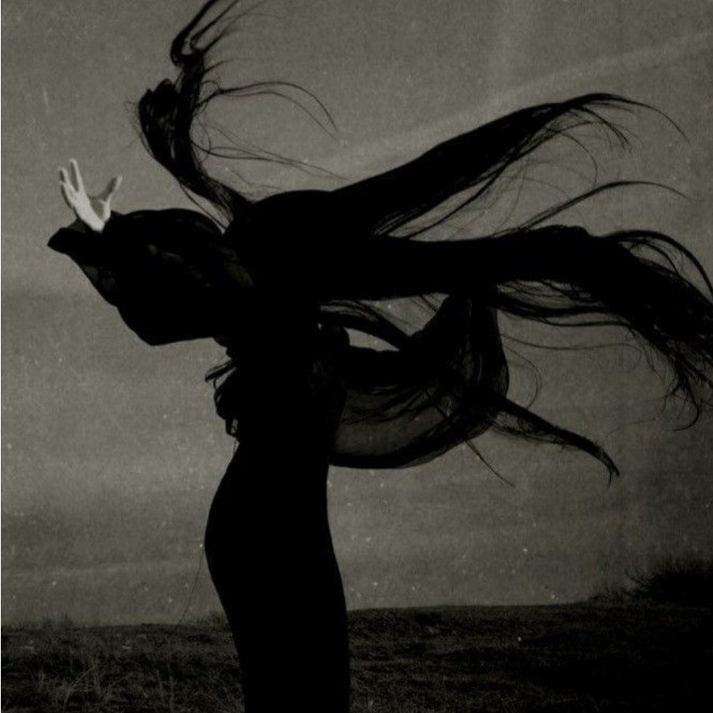 Meet your Posher, M. Alice